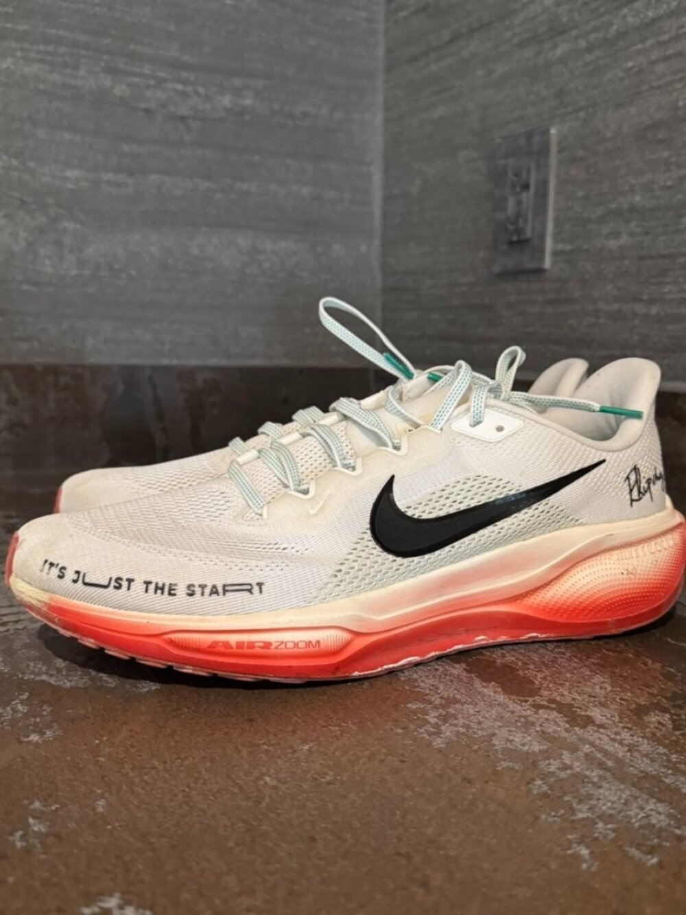Nike Pegasus 41 "Eliud Kipchoge" Running Shoes Size 11.5 US Men Slightly Used